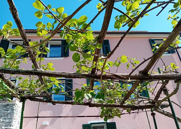 LA TANA DELLA VOLPETTA - Bed&Breakfast